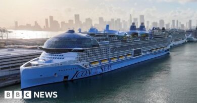 Watch: A look at world's largest cruise ship as it leaves Port of Miami