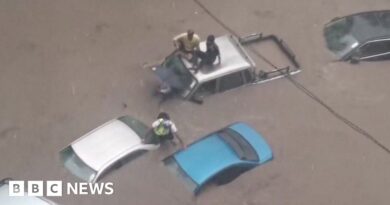 Watch: Cars submerged as cyclone batters Mauritius