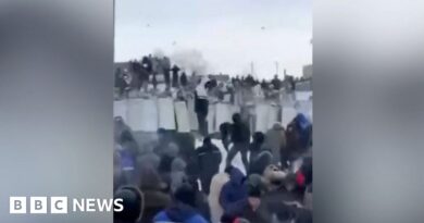 Watch: Crowds throw snowballs at police in Russia