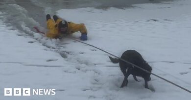 Watch: Firefighter jumps into icy lake to rescue dog