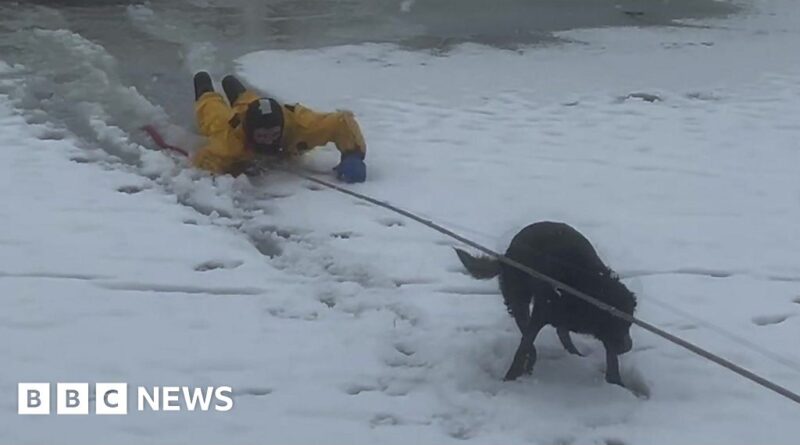 Watch: Firefighter jumps into icy lake to rescue dog