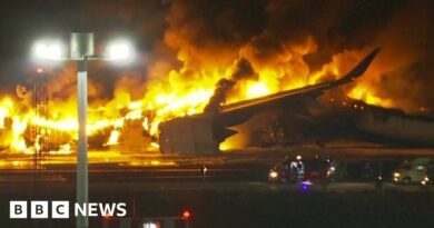 Watch: First pictures of plane on fire on Tokyo runway