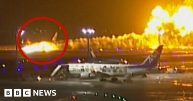 Watch: How the Japan passenger plane burst into flames