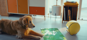What CES 2024 told us about the home robot | TechCrunch