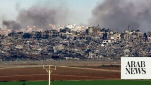 What is the genocide case against Israel at top UN court?
