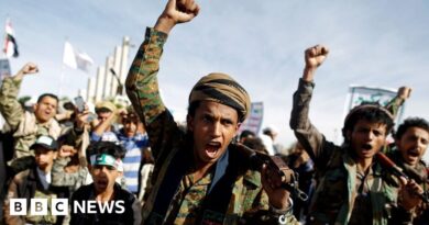 Who are the Houthi rebels and why are they attacking Red Sea ships?