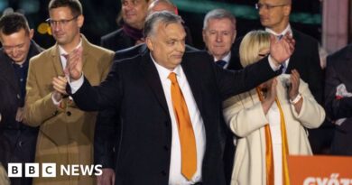 Who is Viktor Orban, Hungary's PM halting funds for Ukraine?