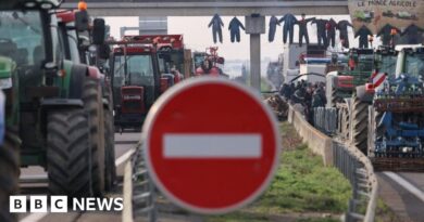 Why Europe's farmers are taking their anger to the streets