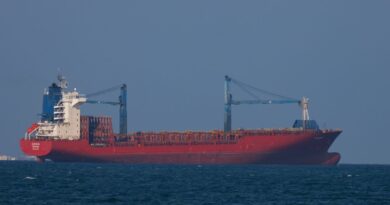 Yemen's Houthis hit another US-owned cargo ship as strikes fail to deter