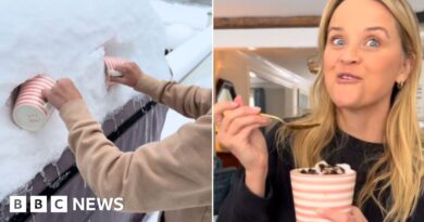 Yes or snow? Reese Witherspoon's viral brew divides opinion