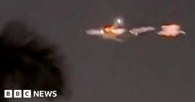 'It's on fire, mom!' Flames shoot from cargo plane mid-air