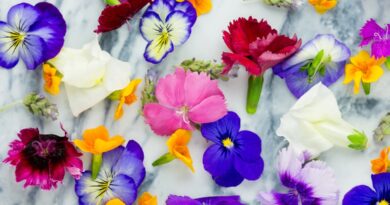 A Beginner's Guide for Using Florals and Botanicals To Fight Inflammation and Boost Sleep