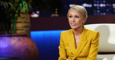 A shopping trip taught Barbara Corcoran a valuable career lesson: '7 simple words made me a much nicer person'