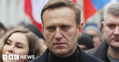 Alexei Navalny: Putin critic's mother says she has been shown his body