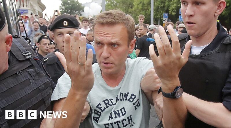 Arrested and poisoned: See Navalny's moments of defiance