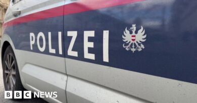 Austria: Four women and a girl killed in Vienna in 24 hours