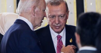 Biden, Erdogan ride wave of momentum after Turkey's NATO vote, F-16 sale