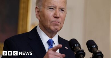 Biden slams Trump criticism of Nato as 'shameful'