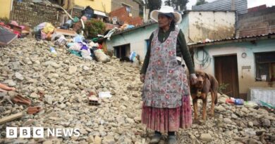 Bolivia floods: Alert as torrential rains kill dozens