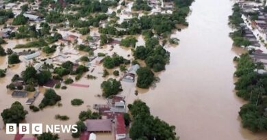 Bolivia floods: Homes destroyed and animals rescued