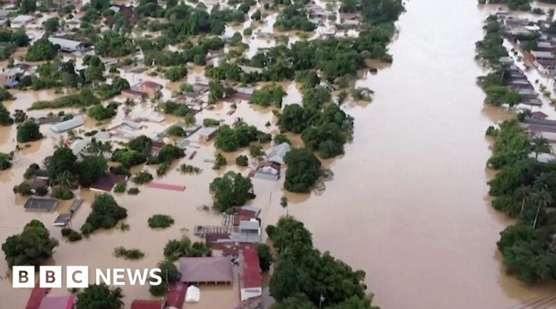 Bolivia floods: Homes destroyed and animals rescued