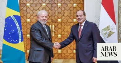 Brazilian, Egyptian presidents call for immediate ceasefire in Gaza