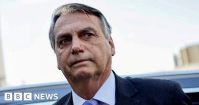 Brazil's ex-leader Bolsonaro surrenders passport over coup probe