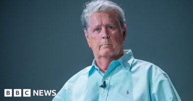 Brian Wilson: Beach Boys star's family seeks conservatorship due to health issues