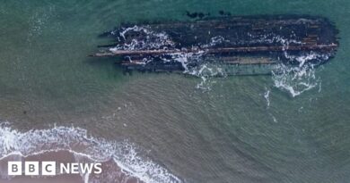 Canada shipwreck: Newfoundland locals try to solve Cape Ray mystery