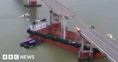 China: Ship rams bridge, plunging cars into river in Guangzhou