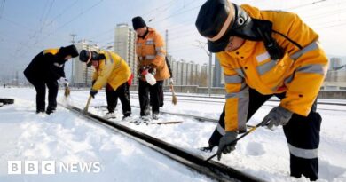 China: Snowstorms spoil Lunar New Year travel for millions