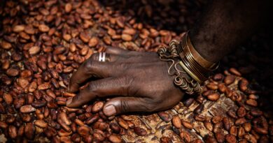 Cocoa prices surge to all-time highs as bad weather hurts West Africa crop yield