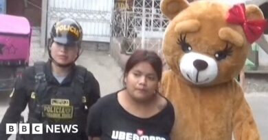 Cop dressed as teddy bear pounces on Valentine’s Day