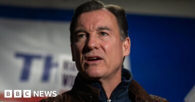 Democrat Tom Suozzi wins race to replace George Santos