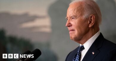 Democrats rally around Biden as report raises age concerns