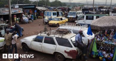 Dozens die after bus falls off bridge in Mali