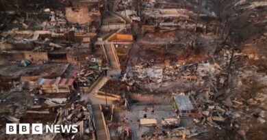 Drone footage shows Chile forest fire devastation