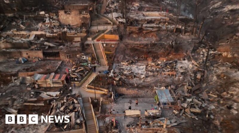 Drone footage shows Chile forest fire devastation