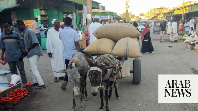 Economy another victim of war in impoverished Sudan