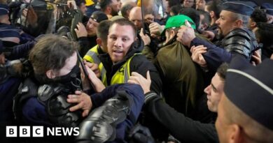 Farmers' anger erupts at trade show in Paris