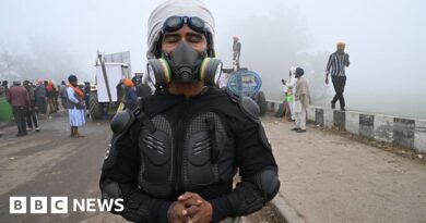 Farmers' protest: India police fire tear gas at protesting farmers on Delhi march