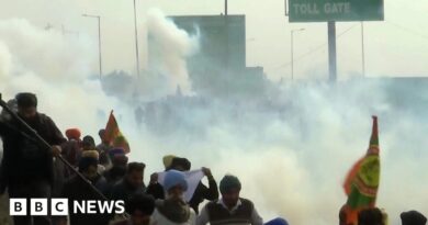 Farmers' protests: Indian police fire tear gas at protesters