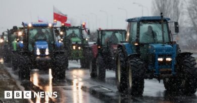 From Poland to Spain, Europe's farmers ramp up protests