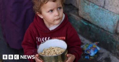 Gaza residents surviving off animal feed and rice as food dwindles