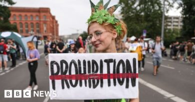 Germany set to legalise cannabis, but it's complicated