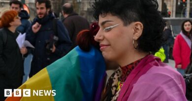 Greece legalises same-sex marriage