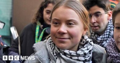 Greta Thunberg cleared after unlawful protest arrest