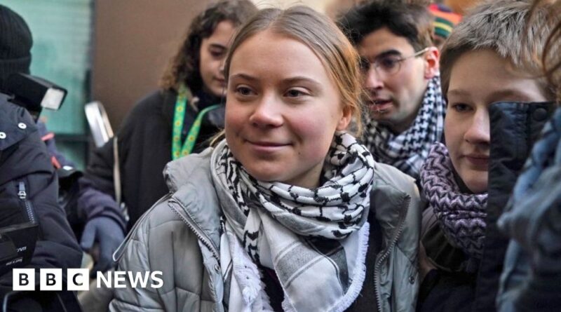 Greta Thunberg outside court: We must remember who real enemy is