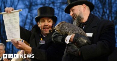 Groundhog Day: Did Punxsutawney Phil see his shadow?