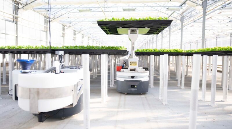 How robotics and AI helped Hippo Harvest land $21M to grow lettuce | TechCrunch